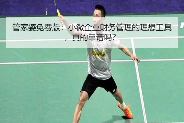 管家婆免费版：小微企业财务管理的理想工具，真的靠谱吗？