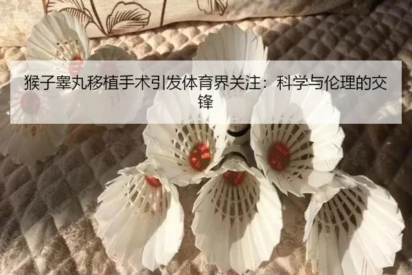 猴子睾丸移植手术引发体育界关注：科学与伦理的交锋（milan sports）